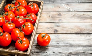 Olgun domates tepsi. Ahşap arka plan üzerinde