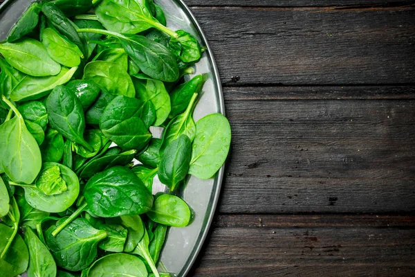 stock image Green spinach on tray. On wooden background