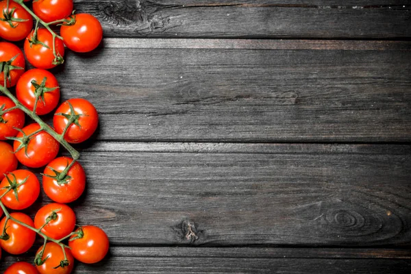 stock image Red tomatoes on a branch. On wooden background