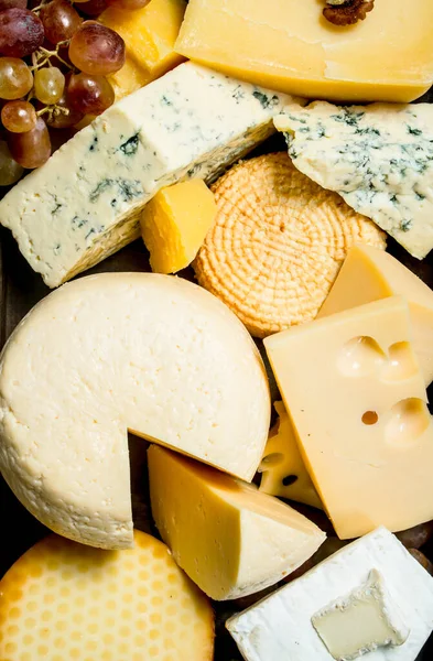 stock image Assortment of different types of cheese on the tray. On a wooden background.