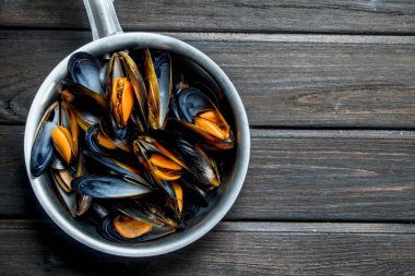 Taze deniz ürünleri istiridye. Ahşap bir arka plan üzerinde.