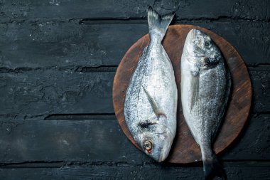 Çiğ deniz balık dorado bir kesme tahtası. Siyah bir rustik arka planda.