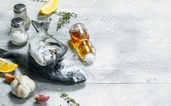 Raw Sea Fish Dorado Herbs Spices Rustic Background — Stock Photo, Image