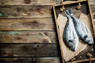 Çiğ deniz balık dorado ahşap tepsi içinde. Ahşap bir arka plan üzerinde.