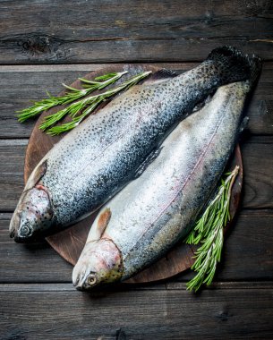 Güzel kokulu biberiye ile çiğ balık somon. Ahşap bir arka plan üzerinde.