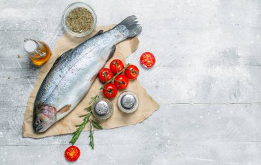 Domates, baharat ve biberiye ile çiğ balık somon. Rustik bir arka plan üzerinde.