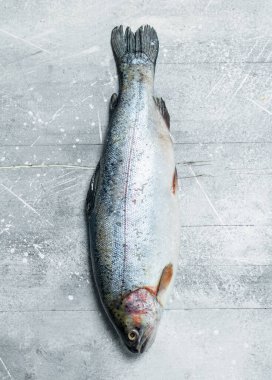 Çiğ balık somon. Rustik bir arka plan üzerinde.