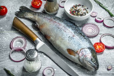 Baharat ve kırmızı soğan halkası ile çiğ balık somon. Rustik bir arka plan üzerinde.