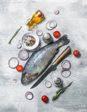 Baharat ve kırmızı soğan halkası ile çiğ balık somon. Rustik bir arka plan üzerinde.