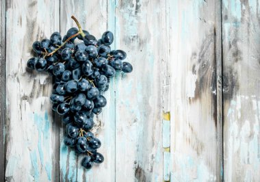 siyah üzüm dalı. Rustik bir arka plan üzerinde.