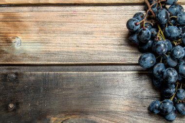 Siyah üzüm dalı. Ahşap bir arka plan üzerinde.