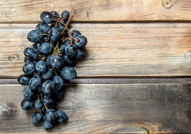 Siyah üzüm dalı. Ahşap bir arka plan üzerinde.