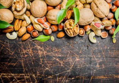 Fındık arka plan. Fındık yeşil yaprakları ile farklı tür. Ahşap bir arka plan üzerinde.