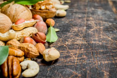 Fındık arka plan. Fındık yeşil yaprakları ile farklı tür. Ahşap bir arka plan üzerinde.