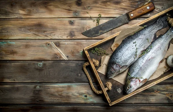 stock image Raw sea fish salmon on a wooden tray with thyme. On wooden background