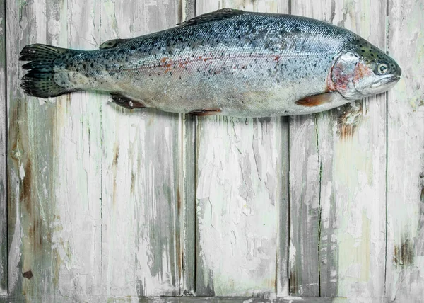 Surowe Ryby Łosoś Tle Rustykalnym — Zdjęcie stockowe