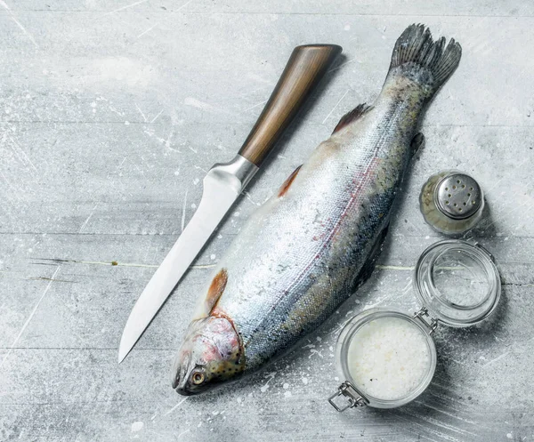 Raw Fish Salmon Salt Pepper Rustic Background — Stock Photo, Image