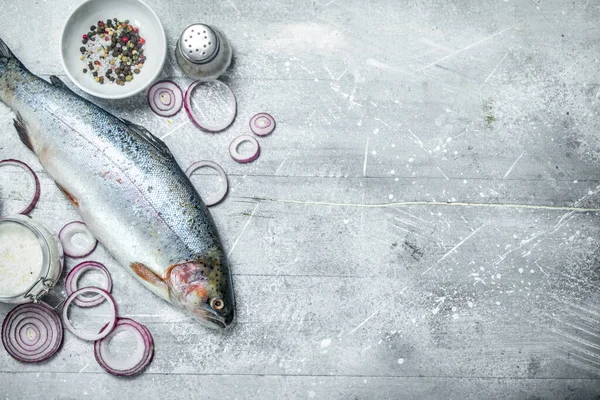 Baharat ve kırmızı soğan halkası ile çiğ balık somon. Rustik bir arka plan üzerinde.