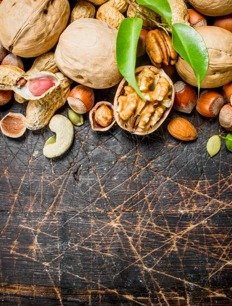 Fındık arka plan. Fındık yeşil yaprakları ile farklı tür. Ahşap bir arka plan üzerinde.