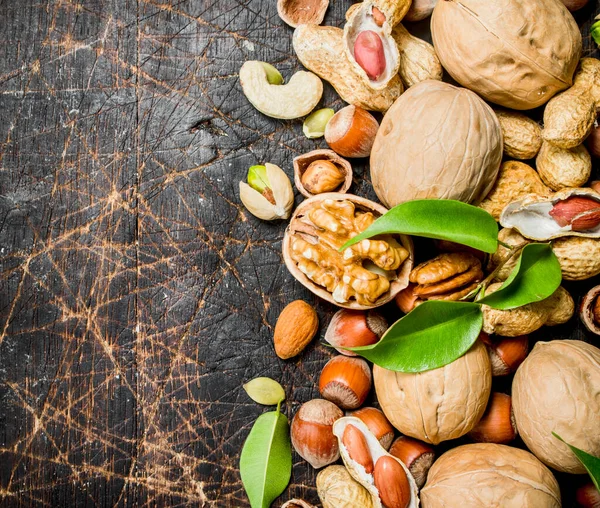 Fındık arka plan. Fındık yeşil yaprakları ile farklı tür. Ahşap bir arka plan üzerinde.