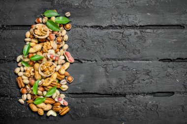 Fındık arka plan. Yaprakları ile fındık çeşitleri. Rustik siyah arka plan üzerine.