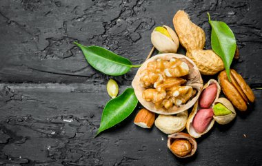 Fındık arka plan. Yaprakları ile fındık çeşitleri. Rustik siyah arka plan üzerine.