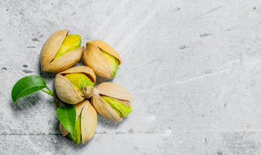 Yaprakları ile Antep fıstığı. Rustik bir arka plan üzerinde.