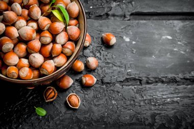 Fındık kabın içinde. Rustik siyah arka plan üzerine.