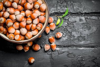 Fındık kabın içinde. Rustik siyah arka plan üzerine.