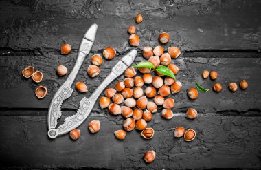 Fındık bir kabuk ile bir Fındıkkıran. Rustik siyah arka plan üzerine.