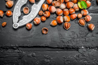 Fındık bir kabuk ile bir Fındıkkıran. Rustik siyah arka plan üzerine.