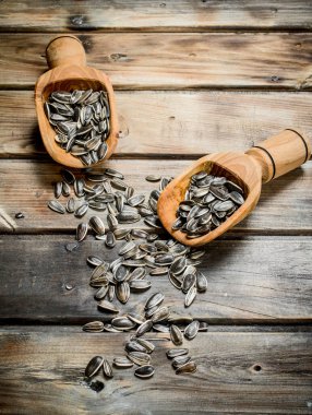 Ayçiçeği tohumu kaşık toz içinde. Ahşap bir arka plan üzerinde.