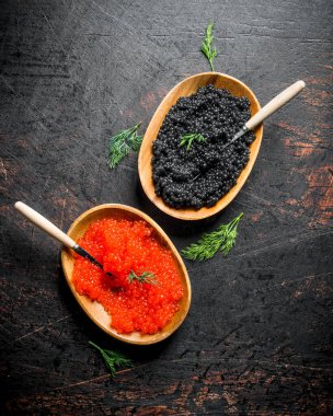 Kaşık ve dereotu ile kaselerde siyah ve kırmızı havyar. Koyu rustik arka plan üzerinde