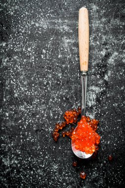 Kaşıkta kırmızı havyar. Siyah rustik arka plan üzerinde