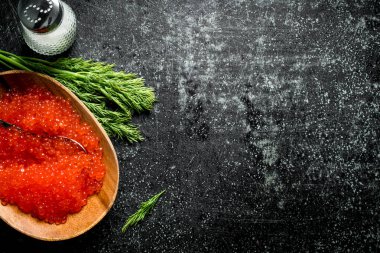 Tuz ve dereotu ile bir kapta kırmızı havyar. Siyah rustik arka plan üzerinde