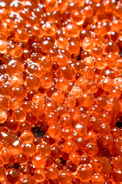 Körner Von Rotem Kaviar Textur Ansicht Von Oben — Stockfoto