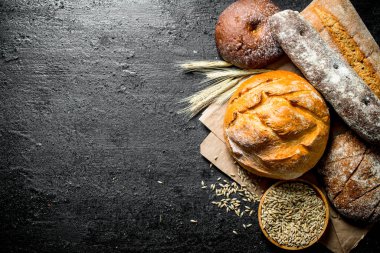 Tahıl ve sivri ile ekmek farklı türleri. Koyu rustik arka plan üzerinde