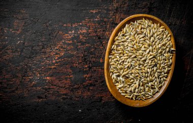 Bir kapta buğday tanesi. Koyu rustik arka plan üzerinde