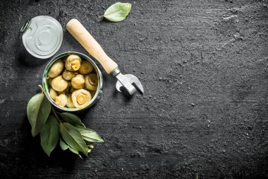 Konserve mantar ile açık konserve konserve. Siyah rustik arka plan üzerinde