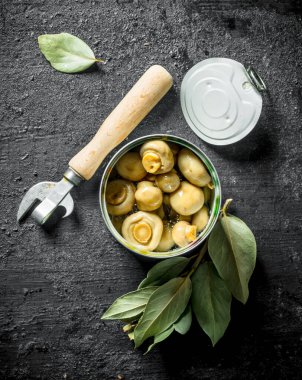 Konserve mantar ile açık konserve konserve. Siyah rustik arka plan üzerinde