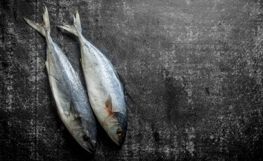 Çiğ ton balığı. Koyu rustik arka plan üzerinde