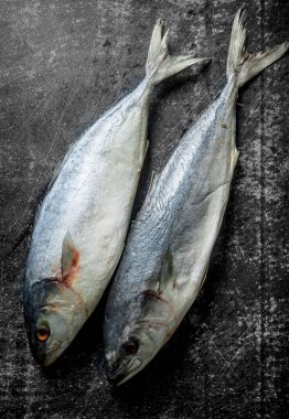 Çiğ ton balığı. Koyu rustik arka plan üzerinde