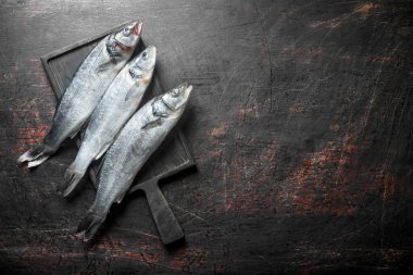 Taze çiğ levrek balığı. Koyu rustik arka plan üzerinde