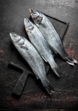 Taze çiğ levrek balığı. Koyu rustik arka plan üzerinde