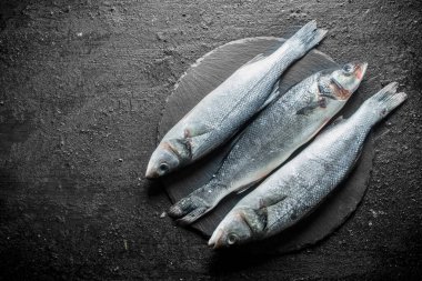 Levrek çiğ balık. Siyah rustik arka plan üzerinde