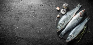 Kekik, sarımsak ve baharat ile çiğ levrek balık. Siyah rustik arka plan üzerinde