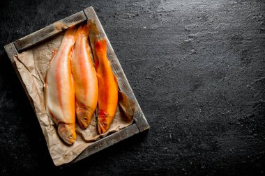 Kağıt ile tepside çiğ alabalık balığı. Siyah rustik arka plan üzerinde