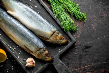 Limon, dereotu ve baharatile tuzlu ringa balığı. Koyu rustik arka plan üzerinde