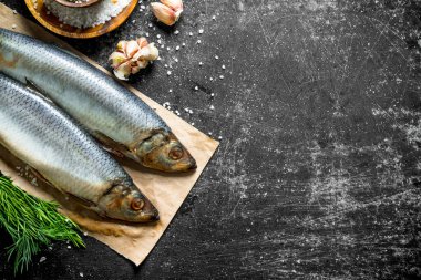 Sarımsak ve baharatile kağıt üzerinde tuzlu ringa balığı. Koyu rustik arka plan üzerinde