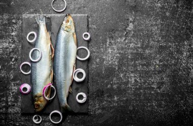 Soğan halkaları ile bir taş tahta üzerinde tuzlu ringa balığı. Koyu rustik arka plan üzerinde